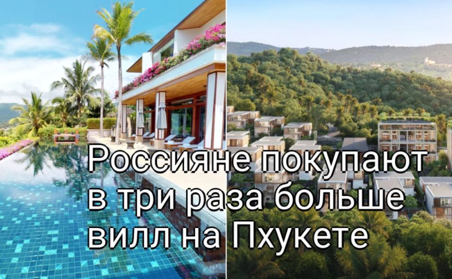 Россияне стали покупать в три раза больше вил на Пхукете, чем до COVID