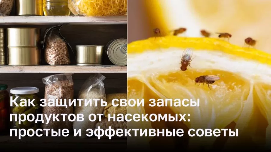 Как защитить свои запасы продуктов от насекомых: простые и эффективные советы