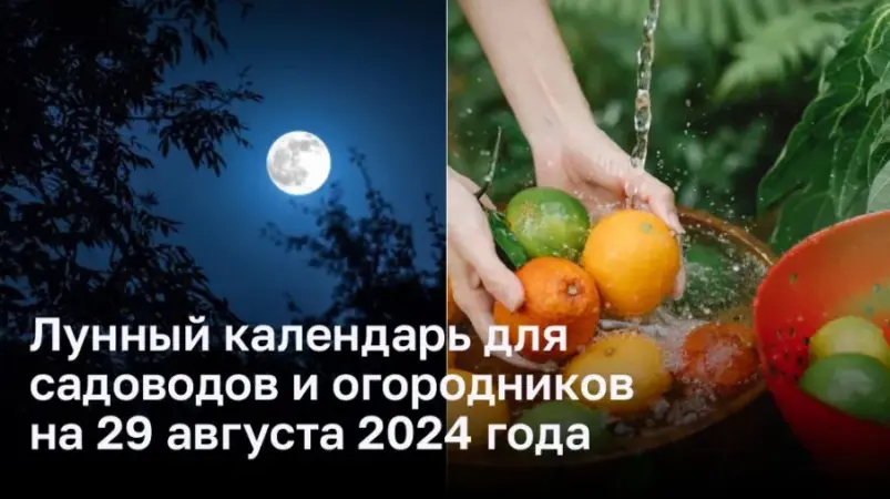 Календарь садовода на август 2024 г