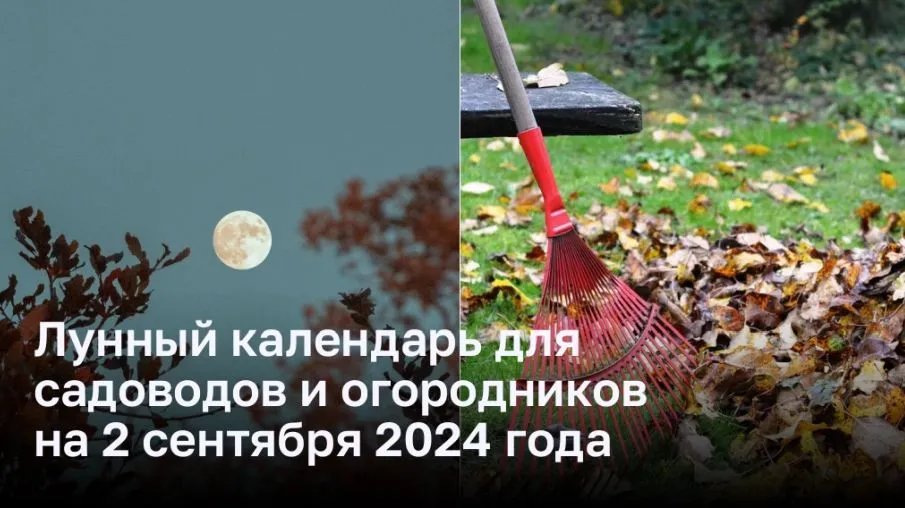 Лунный календарь для садоводов и огородников на 2 сентября 2024 года