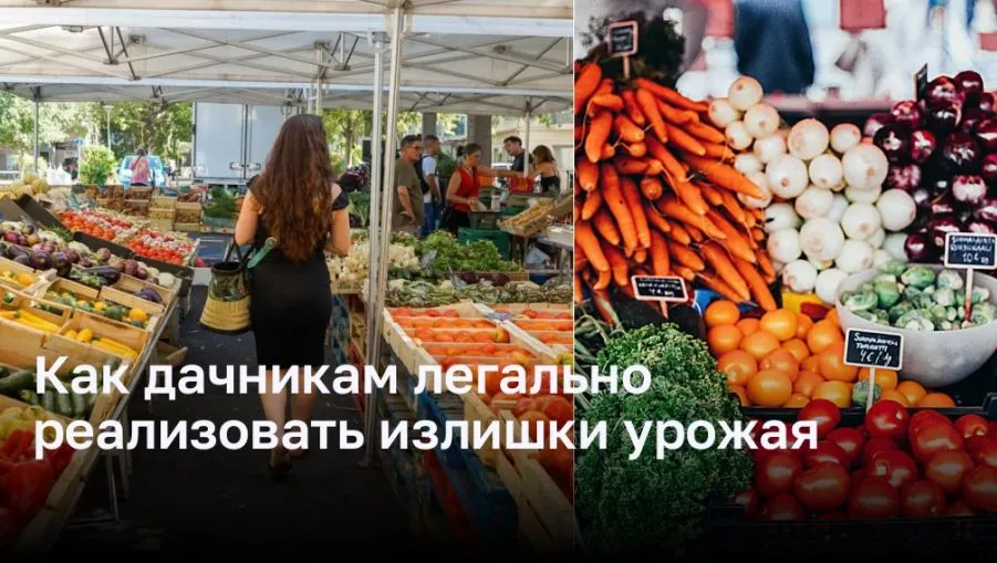 Как дачникам легально реализовать излишки урожая