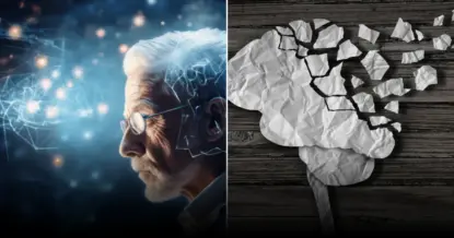 Названы ключевые продукты для здоровья мозга