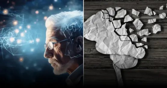 Названы ключевые продукты для здоровья мозга