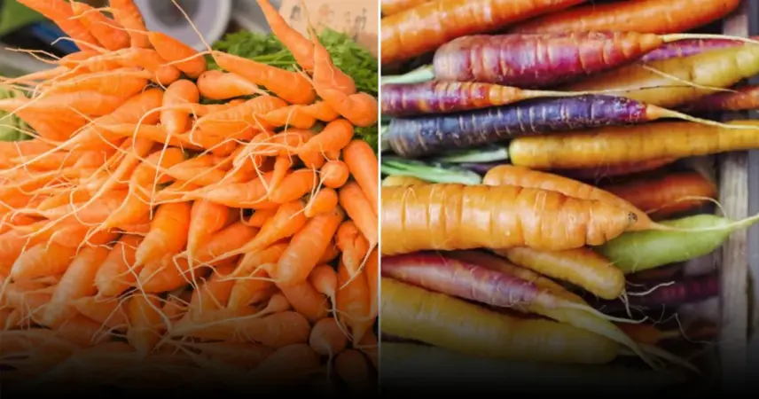 Агрономы объяснили причины стрелкования моркови
