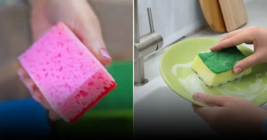 Сколько служат губки для посуды: рекомендации по гигиене
