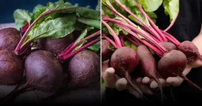 Как добиться выращивания более сладкой свеклы с минимальными усилиями