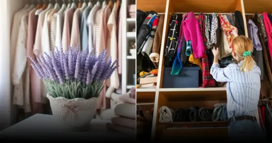 5 бесполезных систем хранения вещей, от которых лучше отказаться