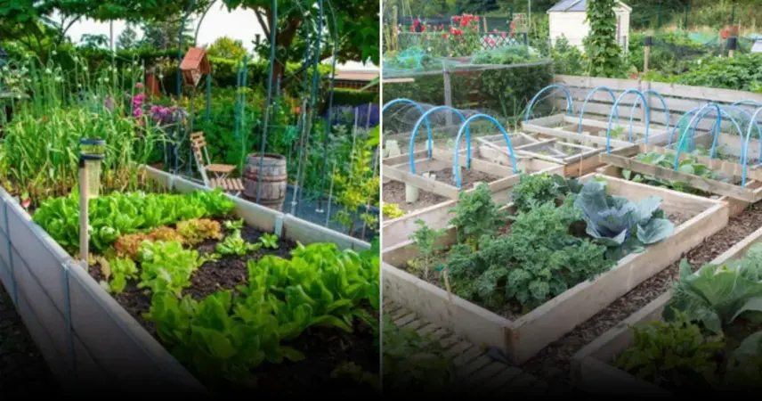 Как подготовить грядки к весне: эффективные экологичные методы