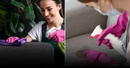 Названы 5 проверенных способов удалить пятно черники