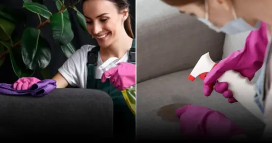 Названы 5 проверенных способов удалить пятно черники