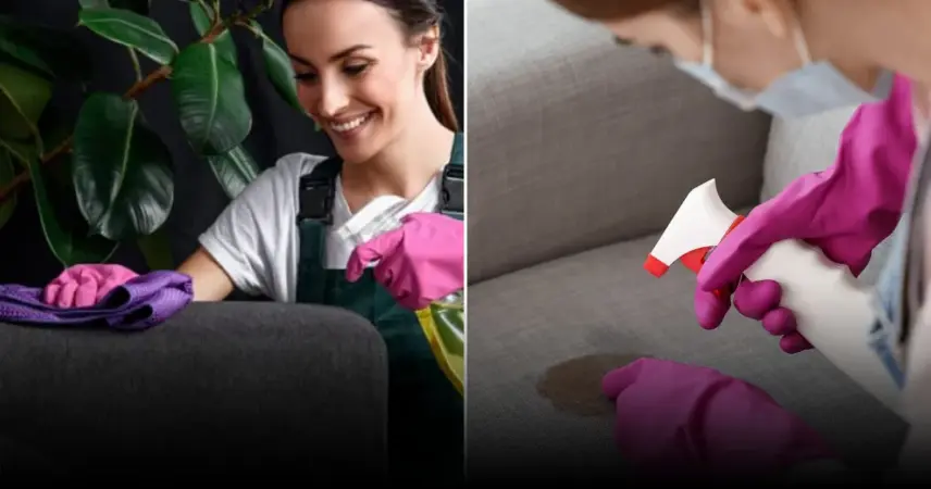 Названы 5 проверенных способов удалить пятно черники