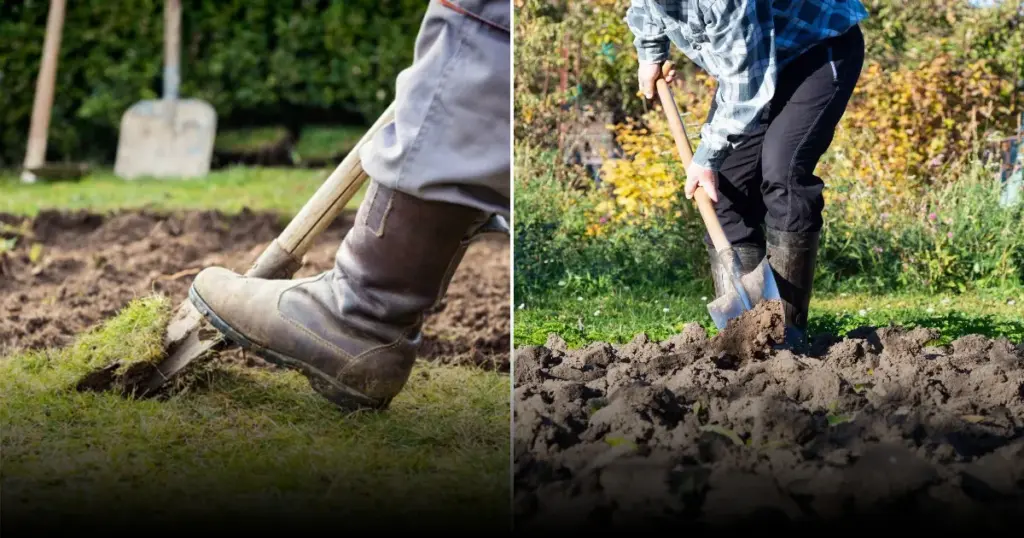 Первые посевы весной: горох и редиска для раннего урожая