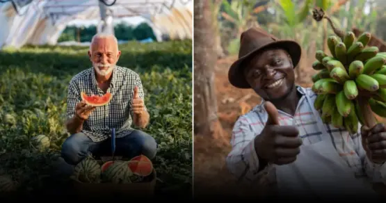 Почему борьба с слизнями должна идти днём, а не ночью: советы для садоводов