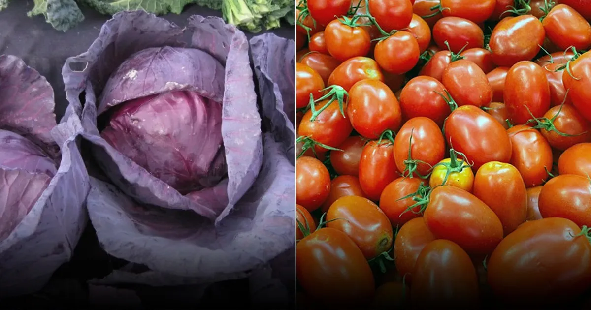 Как ускорить созревание компоста до 1 месяца