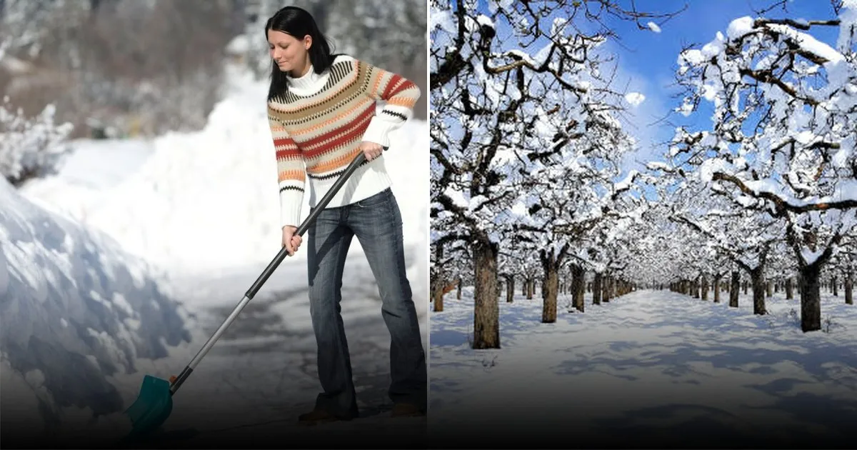 Что такое снеготерапия и как она воздействует на мозговую активность