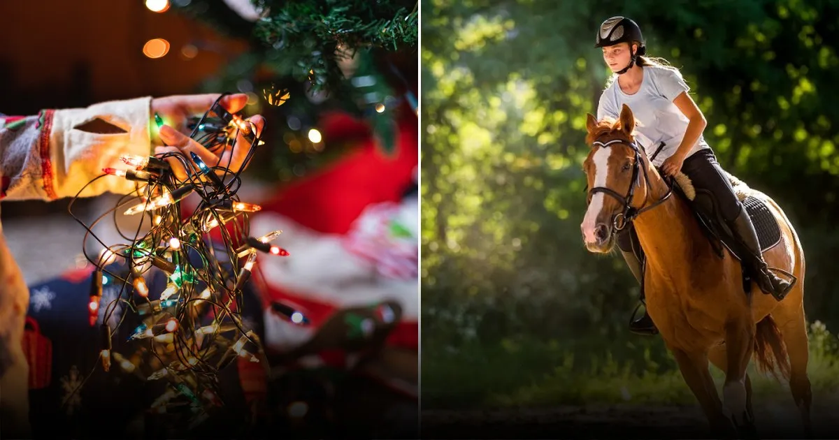 В каких цветах встретить Новый год 2026: модные тенденции года Красной Лошади