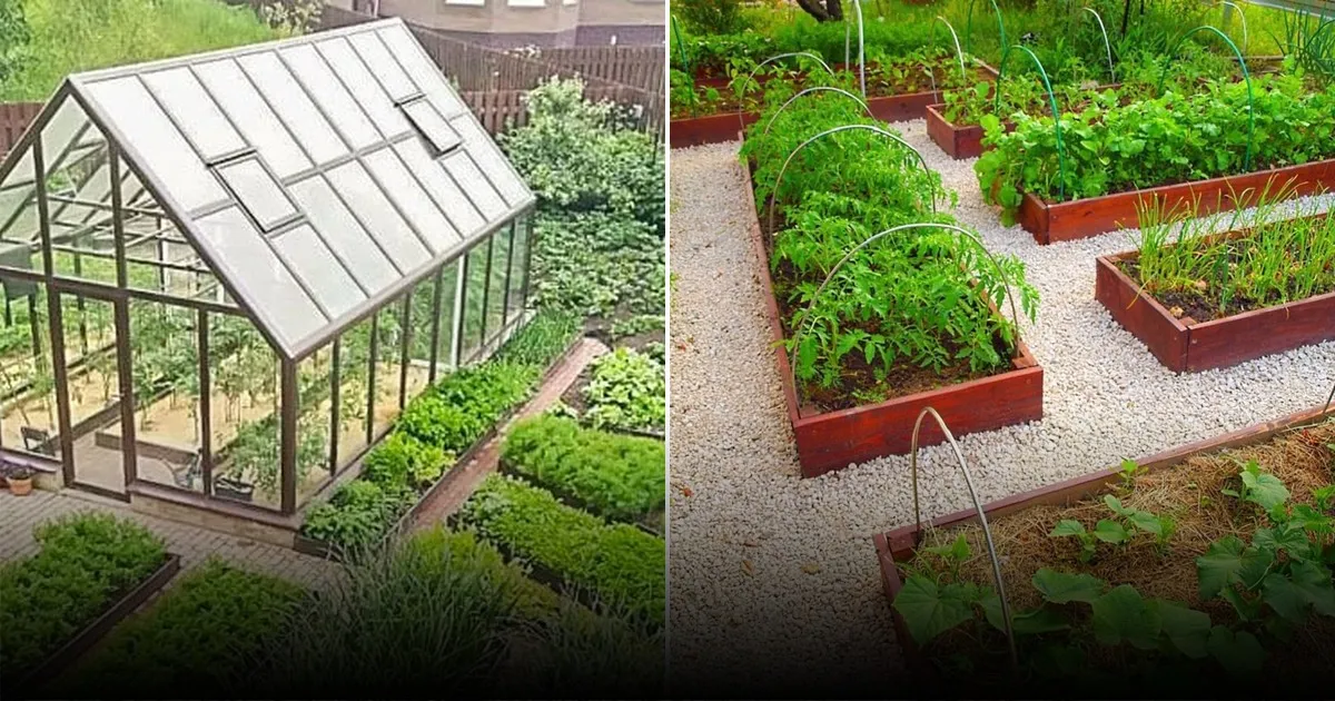 Как отпугнуть кротов без химии и вернуть спокойствие на грядках