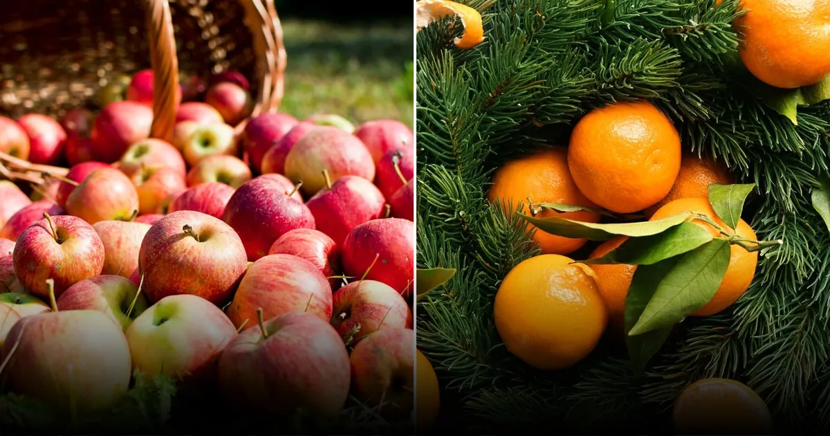 Как правильно обрезать яблоню весной и не навредить дереву