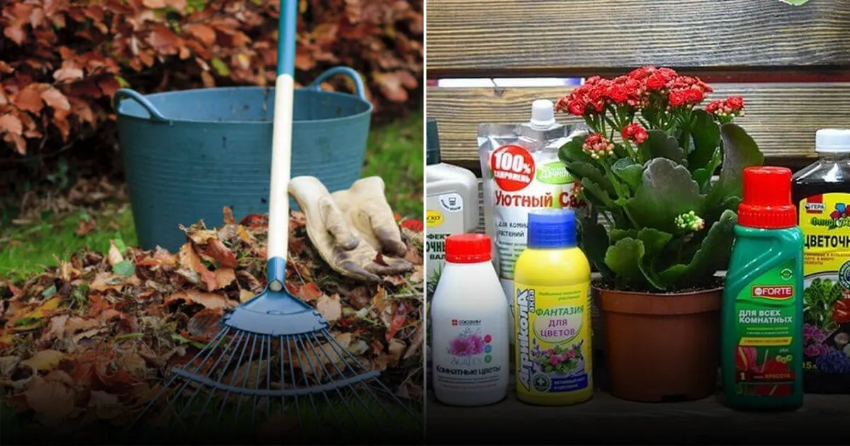 Эффективные методы утилизации пней на даче