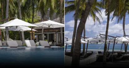 Отдохнуть, и помочь природе: зачем выращивают коралловые плантации