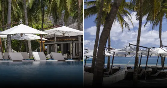 Отдохнуть, и помочь природе: зачем выращивают коралловые плантации