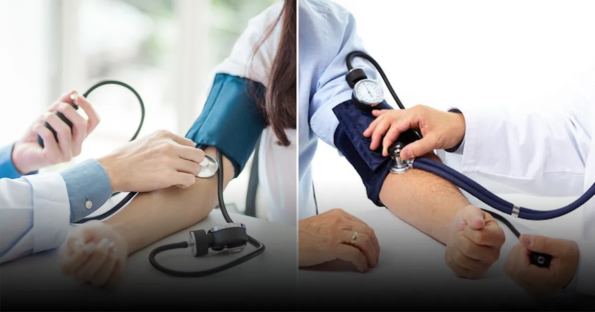 Названа скрытая роль жиров организма в регулировке кровяного давления