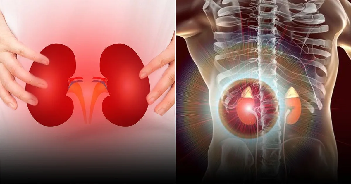 Сколько органов способен потерять человек и оставаться живым: ответ дают врачи