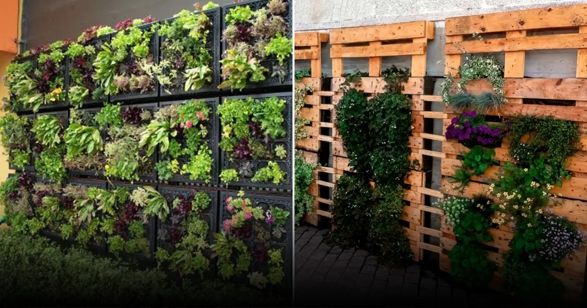 Эксперты рассказали о влиянии озеленения города на сердечно-сосудистое здоровье