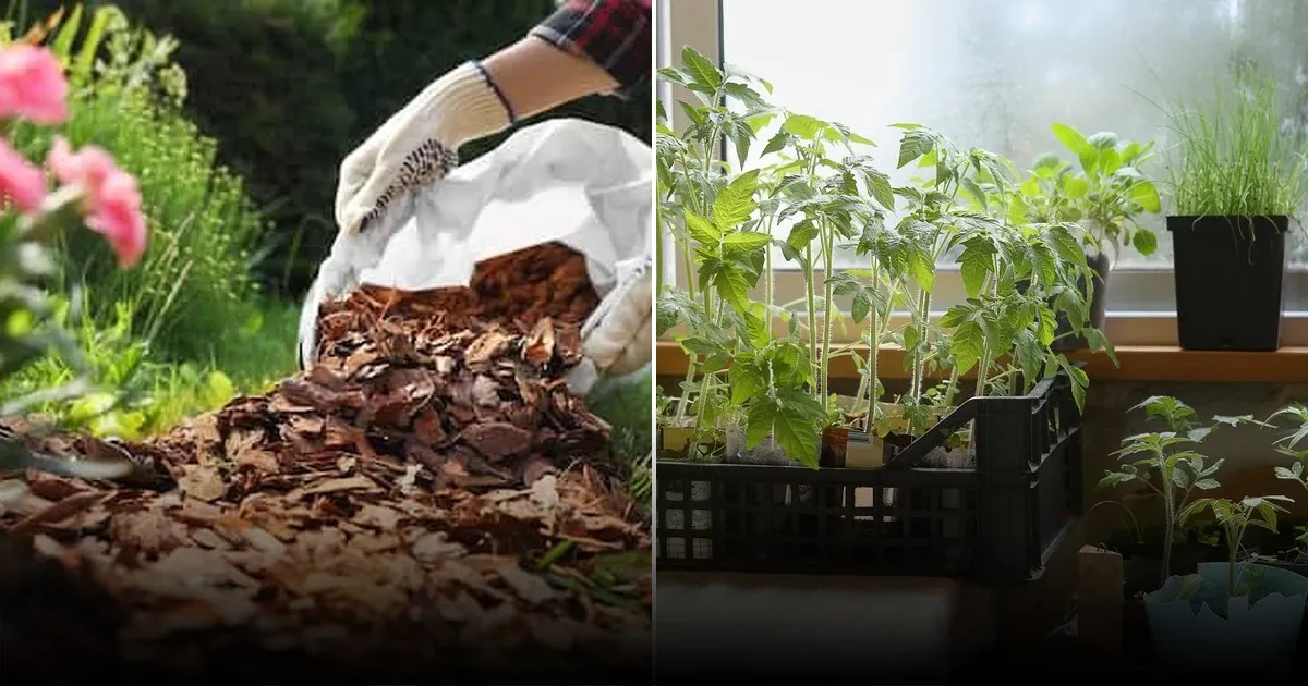 Названы 5 типичных ошибок перед началом дачного сезона