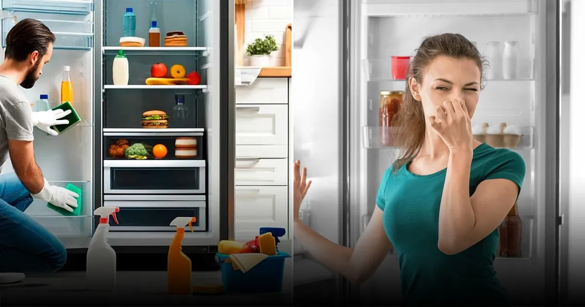Эксперты раскрыли секрет, как навсегда избавиться от запахов в холодильнике