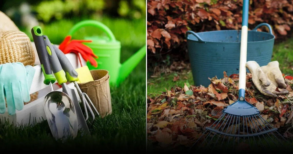 Что обязательно нужно сделать на даче в марте: полный список работ Что обязательно нужно сделать на даче в марте: полный список работ