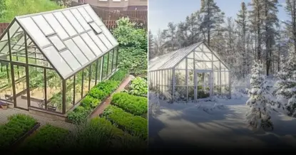 Почему важно проветривать теплицу даже в пасмурную погоду