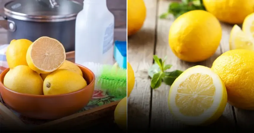 Названы проверенные рецепты борьбы с жиром и пятнами на кухне