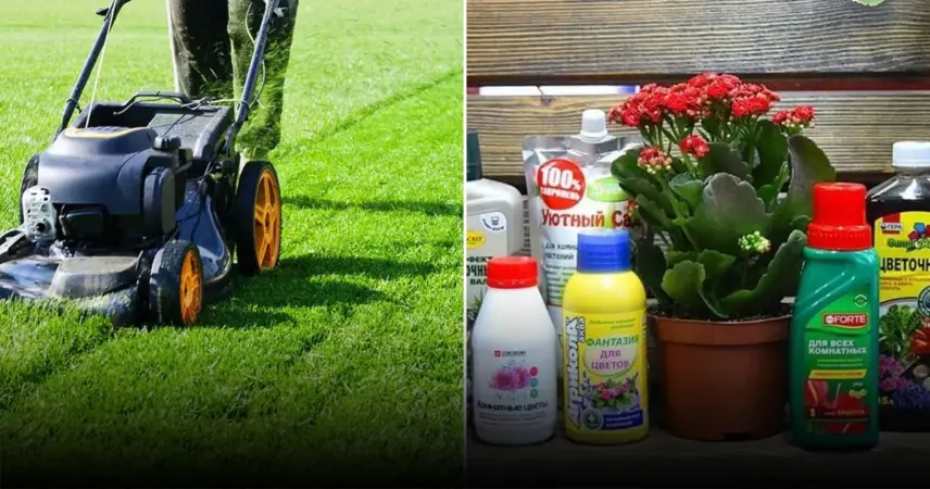 Лайфхаки для быстрого и качественного ухода за садом