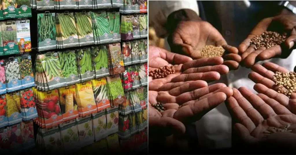 Назван универсальный метод стимуляции прорастания семян