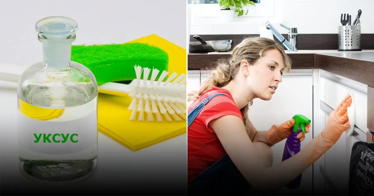 Бабушкины рецепты очистки кухни: натуральные методы борьбы с жиром