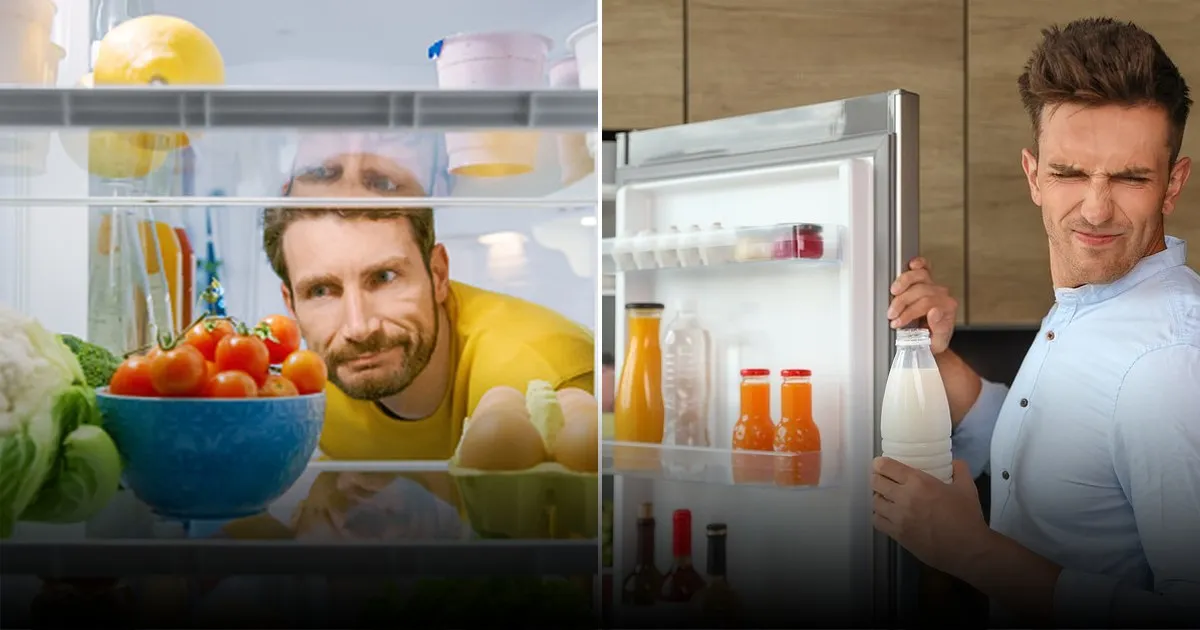 Две алюминиевые ложки в холодильнике: простая магия для красоты и здоровья