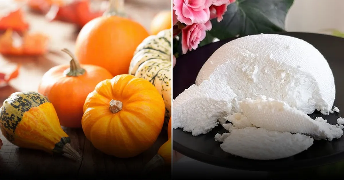 Почему важно правильно хранить тыкву: как это сделать Почему важно правильно хранить тыкву: как это сделать