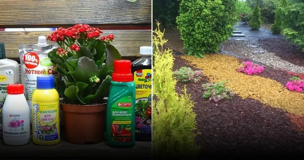 эксперты рассказали, как привлечь стрекоз в сад для защиты от вредителей