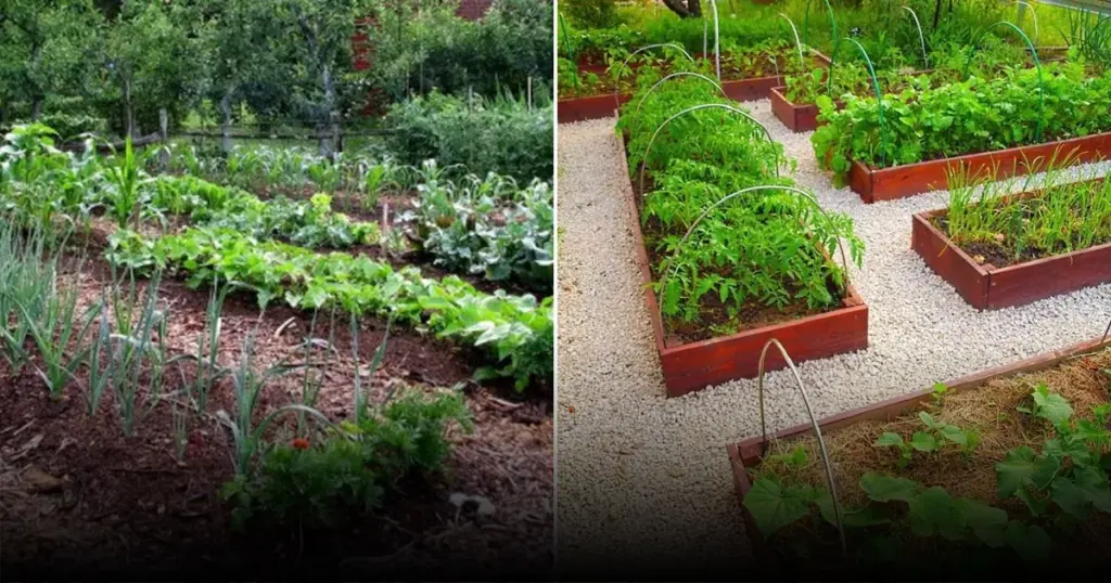 Высокие грядки: преимущества, строительство и уход