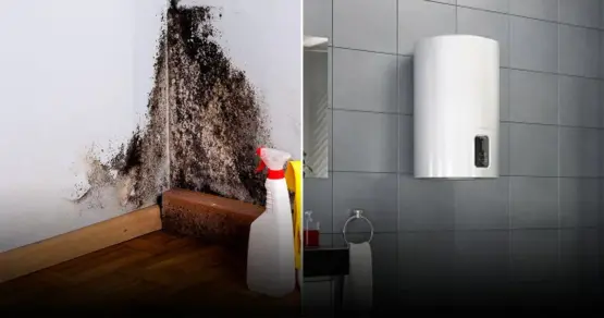 Черная плесень в ванной: как избавиться навсегда