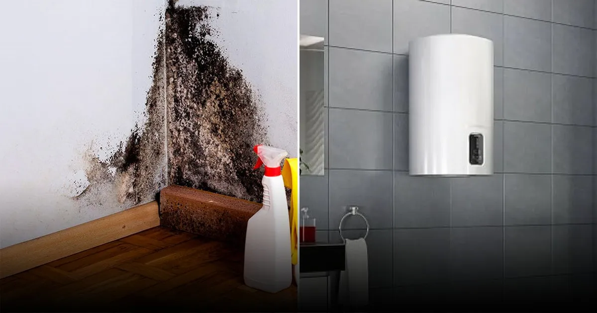 Черная плесень в ванной: как избавиться навсегда Черная плесень в ванной: как избавиться навсегда