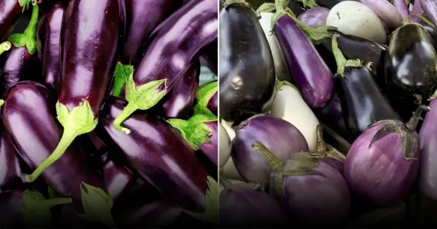 Правильная пикировка баклажанов: ключ к успешному росту