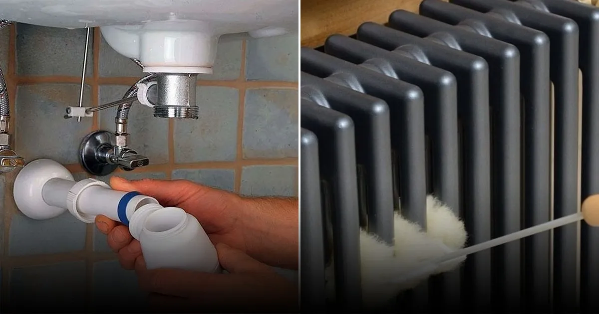 Как предотвратить затхлый запах из канализации